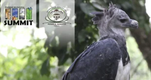 Parque Municipal Summit celebra los 15 años del Águila Harpía "Panamá"