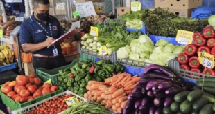 Alza de Precios en Productos de Tierras Altas debido al Aumento de Lluvias
