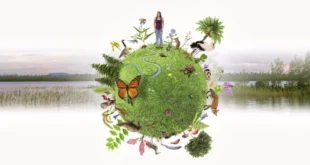 Cinco Soluciones Poderosas para Restaurar la Biodiversidad Global
