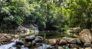 MiAmbiente reabre áreas protegidas tras mejoras climáticas