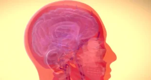 La Inteligencia Cerebral: Más que Regiones, un Sistema Global de Conexiones