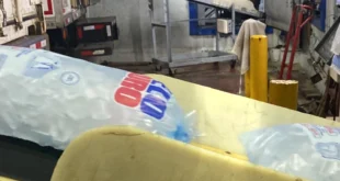 Suspenden Proyecto de Petro Hielo S.A. por Múltiples Infracciones Legales