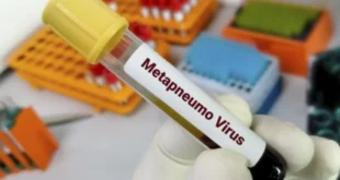 Alerta sanitaria en China: El metapneumovirus humano resurge cinco años después del COVID-19
