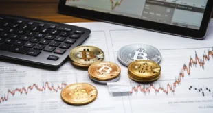 Bitcoin en 2025: Entre el desplome y el auge histórico