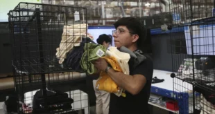Crisis fronteriza: Amenaza de aranceles de Trump paraliza la inversión en ciudades mexicanas