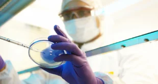 Minsa confirma la primera muerte por el virus Oropouche en Panamá