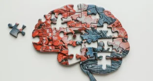 El Cerebro Reinventa los Recuerdos Incluso en la Rutina: Un Nuevo Estudio Revela la Dinámica de la Memoria Espacial