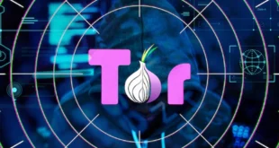 La red Tor en la mira: Expertos alertan sobre el aumento de pedófilos en la dark web