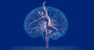 Danza y Neurociencia: El Poder del Baile para Fortalecer el Cerebro y Prevenir el Deterioro Cognitivo