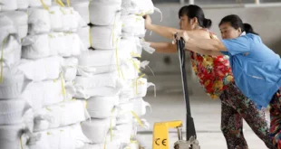 Economía China se Desacelera: Actividad Manufacturera en Contracción por Sexto Mes Consecutivo