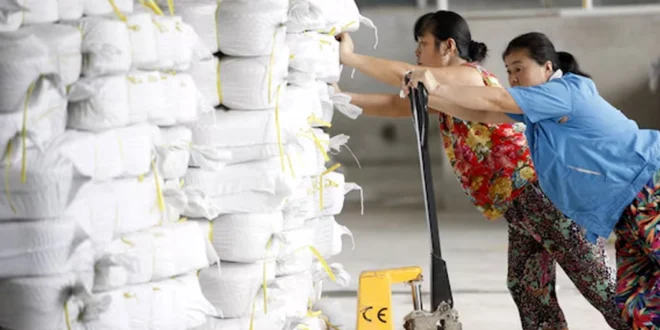Economía China se Desacelera: Actividad Manufacturera en Contracción por Sexto Mes Consecutivo