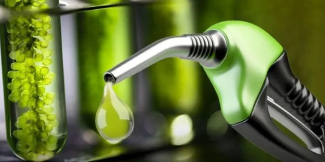 Panamá reactiva uso de bioetanol al 10% en la gasolina