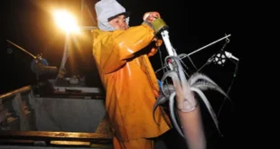 Pescadores chilenos denuncian depredación de flota china ilegal en su mar territorial