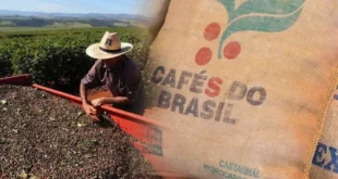 Brasil celebra la eliminación de aranceles al café en Estados Unidos: Un impulso histórico para la industria