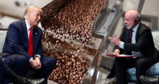 Brasil celebra la eliminación de aranceles de Trump y busca fortalecer lazos comerciales con EE.UU.