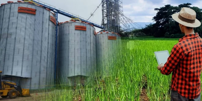 MIDA Impulsa la Importación de Semillas Certificadas de Arroz para Fortalecer la Producción Nacional