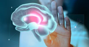 Nuevo Estudio Revela que la Adolescencia se Extiende hasta los 30 Años: Descubrimientos Clave sobre las Etapas del Cerebro