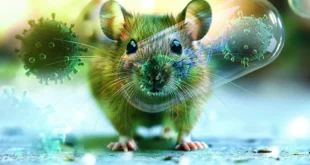 El Cambio Climático Impulsa Nuevas Amenazas de Enfermedades Zoonóticas Transmitidas de Animales a Humanos