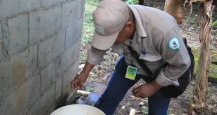 Salud Pública en Panamá: MINSA revela preocupante aumento en casos de Dengue e Influenza