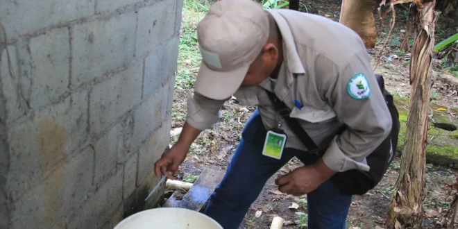 Salud Pública en Panamá: MINSA revela preocupante aumento en casos de Dengue e Influenza