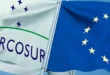 Acuerdo UE-Mercosur: El motor que disparará las exportaciones españolas a Argentina un 66%