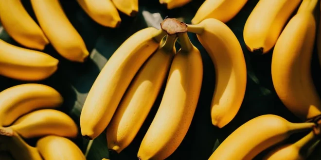 Mucho más que energía: El papel fundamental de la banana en la protección del corazón