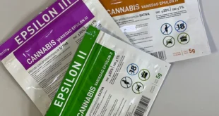 Uruguay debate impuesto a la marihuana: Proponen aplicar IVA tras cifras récord de venta en 2025