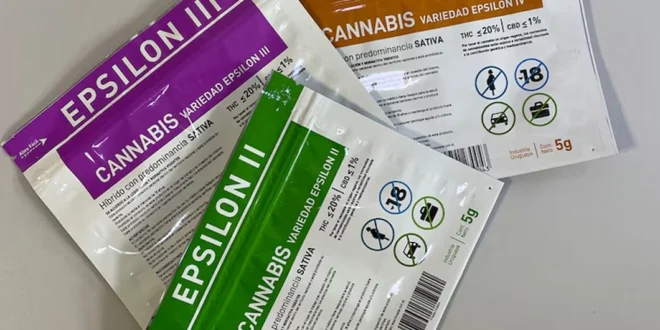 Uruguay debate impuesto a la marihuana: Proponen aplicar IVA tras cifras récord de venta en 2025