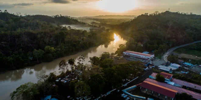 Vista del bosque tropical en el Parque Nacional Darién, Panamá