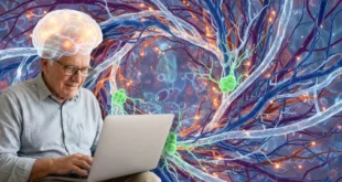 Representación visual de la neurogénesis y conexiones neuronales en el hipocampo humano.