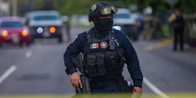 Personal de la Marina de México en un operativo de seguridad en el estado de Sinaloa.