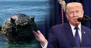 El presidente de Estados Unidos, Donald Trump, habla durante una rueda de prensa