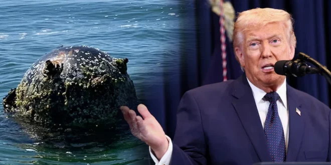 El presidente de Estados Unidos, Donald Trump, habla durante una rueda de prensa