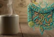 Taza de café humeante junto a una representación gráfica de la microbiota intestinal
