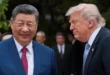 Donald Trump y Xi Jinping caminando por los jardines de Zhongnanhai en Pekín.