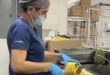 Nutrición hospitalaria en la Caja de Seguro Social (CSS)