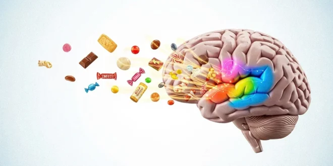 La relación entre la dopamina, el placer alimentario y el control de hábitos según estudios científicos recientes.