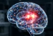 Síntomas y prevención del ACV (Accidente Cerebrovascular)