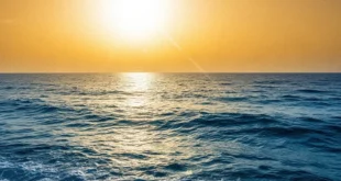 El impacto de los ríos atmosféricos en el desarrollo de olas de calor marinas extremas.