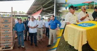 El Presidente José Raúl Mulino durante su visita a las plantaciones de banano en Bocas del Toro.