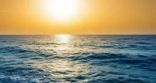 Récord histórico de temperatura oceánica y cambio climático