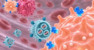 Nanopartículas del MIT para reprogramar células NK contra el cáncer y enfermedades autoinmunes