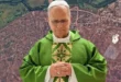 Papa León XIV pide a Putin tregua en Oleshki